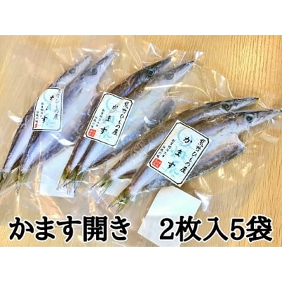 熊野の老舗干物屋　畑辰商店×5袋