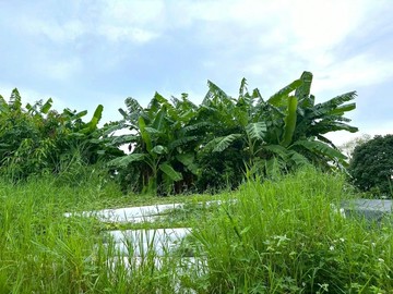 湖口便宜甲建｜新竹縣湖口鄉德興段