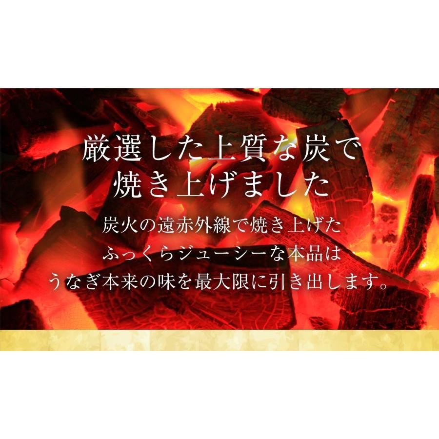 薩摩川内 国産 うなぎ蒲焼 詰合せセット ウナギ 鰻 土用丑の日 鹿児島 母の日 父の日 敬老 ギフト 歳暮