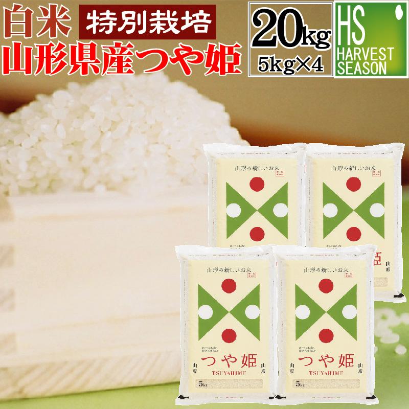 特価 令和4年産 5kg×4袋 つや姫 山形県産 精白米 白米 20kg 特別栽培米 送料無料（SL）