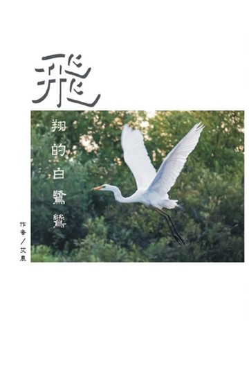 【電子書】飛翔的白鷺鷥（繁體中文版）