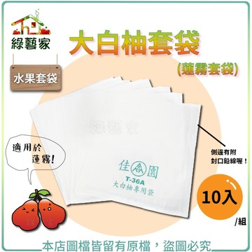 【綠藝家】大白柚套袋(蓮霧套袋)10入/組
