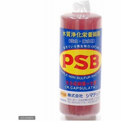 バクテリア 熱帯魚の通販 545件の検索結果 Lineショッピング