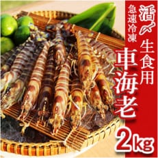 久米島漁協の活〆冷凍車海老　生食用2kg