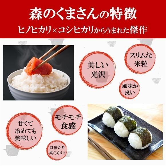 無洗米 森のくまさん 九州どまんなか熊本のお米 20kg(5kg×4袋） 熊本県産 人気 おうち時間 特A おすすめ おいしい 送料無料
