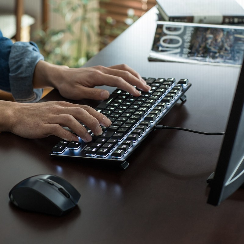 ロープロファイルキーボード 青軸 メカニカル Nキーロールオーバー テンキーレス バックライト搭載 通販 Lineポイント最大1 0 Get Lineショッピング