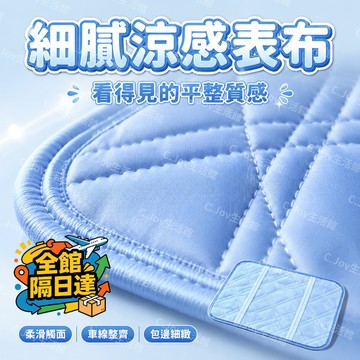 🌟臺灣出貨🌟 正品出口日本 冷感枕墊 枕巾 網眼透氣 學生宿捨冰絲枕墊 枕頭墊套 涼感枕頭 枕套 套保護墊坐墊子可水洗