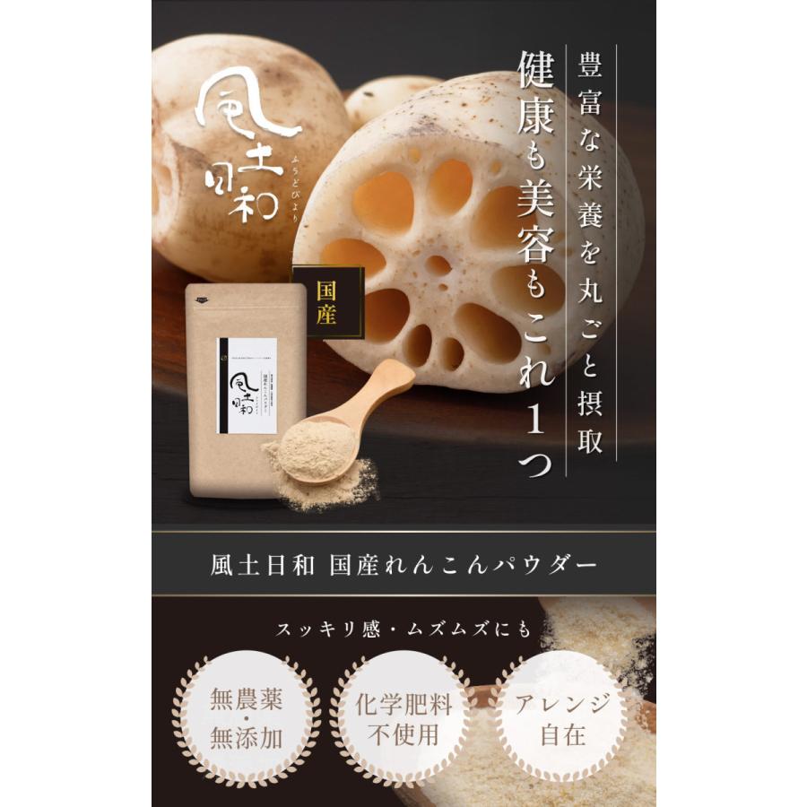 れんこんパウダー 風土日和 210g（70gx3袋） 国産 無農薬 粉末 離乳食 食物繊維 レンコン パウダー ヨーグルト 熊本県産 蓮根粉 料理