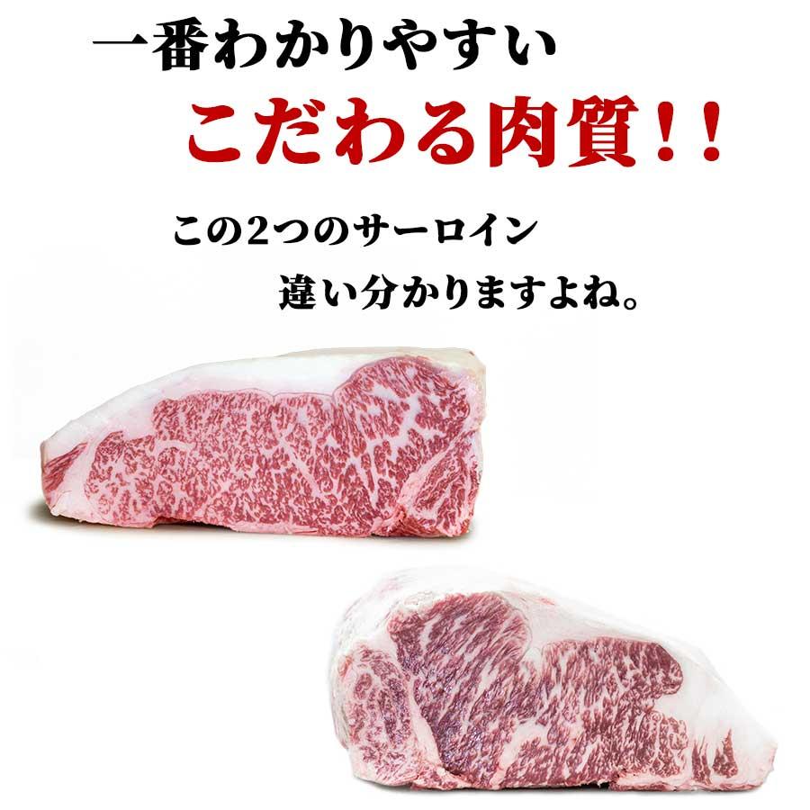 お歳暮 御歳暮 肉 焼肉 牛肉 霜降り 黒毛和牛 A5 ブロック 塊 サーロイン 800g 冷凍 プレゼント ギフト 贈り物