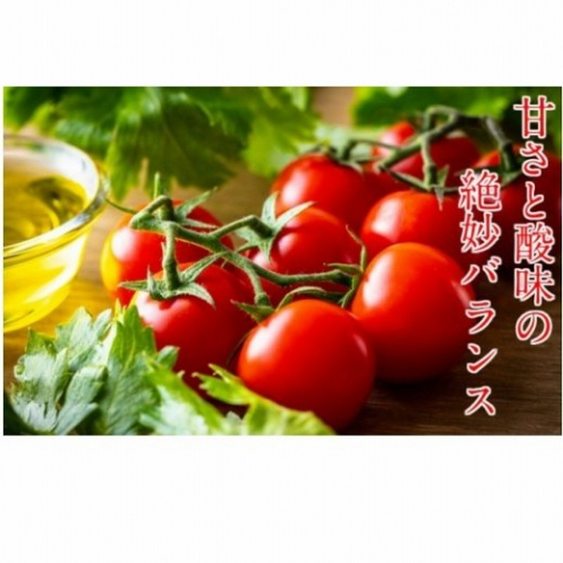 国東産ミニトマト1 2kg 嬉しい小分けタイプ 通販 Lineポイント最大get Lineショッピング