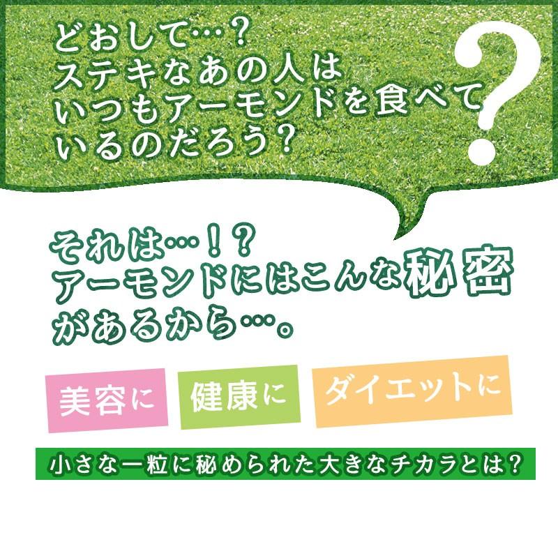 ＜旅するアーモンド 500g＞ （素焼き・無添加・無塩） ナッツ おやつ 無添加 無塩 ギフト