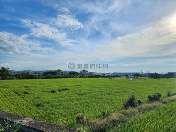 【後龍苦苓腳段】農牧用地｜苗栗縣後龍鎮苦苓腳段