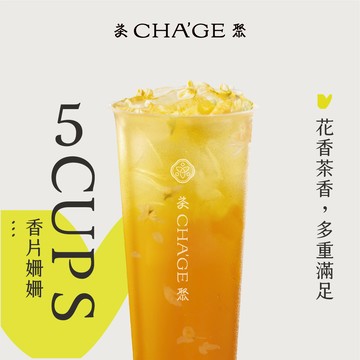 【茶聚】香片姍姍 5杯組
