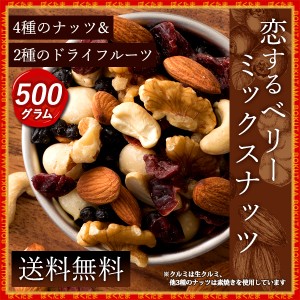 ナッツ ミックスナッツ 無添加 無塩 ベリー入りミックスナッツ 500g (250gx2) トレイルミックス ドライフルーツ アーモンド 生くるみ