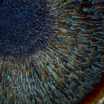 青黑兔毫天目盞 茶杯 50cc