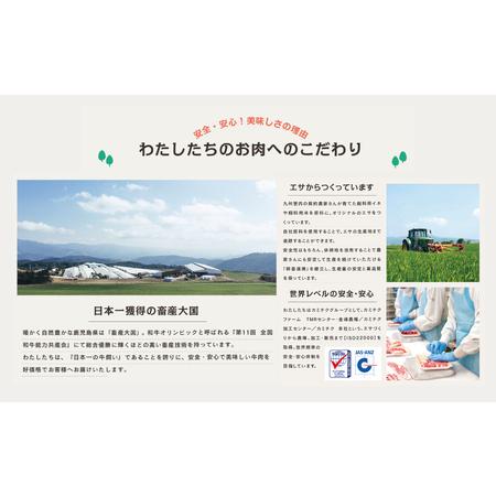 ふるさと納税 数量限定！鹿児島県産 A5等級黒毛和牛 サーロインスティックステーキ 500g A5ランク ステーキ肉 和牛 A5 焼肉 ギ.. 鹿児島県南さつま市