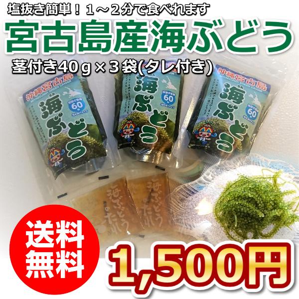 宮古島産 塩水 海ぶどう50ｇ×３袋 (茎付) タレ付き 送料無料 | LINE ...