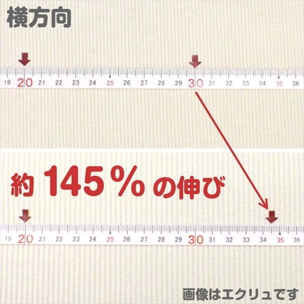 ニット生地 20スパンテレコ オフホワイト 「裏毛などの付属リブ素材」