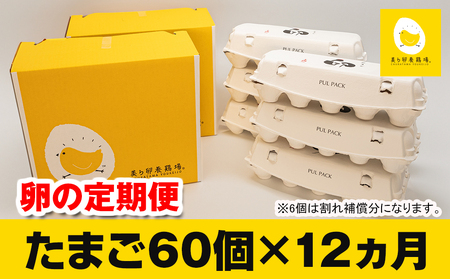 12ヵ月連続お届け　美ら卵養鶏場の卵　各月60個