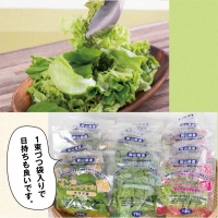 10-03 植物工場産野菜・お徳用12セット（１年契約）１セット×１２回