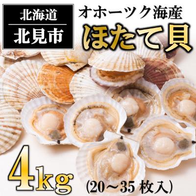 ふるさと納税 北見市 オホーツク海産　ほたて貝　4kg(20〜35枚)