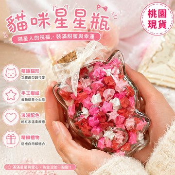 桃園出貨✨創意DIY貓咪許願瓶手工罐子摺紙透明幸運星星漂流瓶生日禮物 貓咪星星瓶 貓咪存錢罐 DIY手作禮物 交換禮物