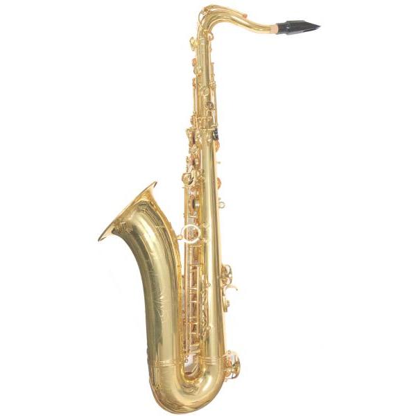 J Michael(Jマイケル) TN-900 テナーサックス アウトレット ラッカー 管楽器 Tenor saxophone gold セット J　北海道 沖縄 離島不可