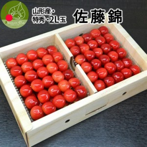 6月下旬発送・先行早割 さくらんぼ 佐藤錦 特秀 L玉 1kg(500g×2) 山形県産 産地直送 化粧箱入 プレゼント ギフト 品質保証 贈答品 のし