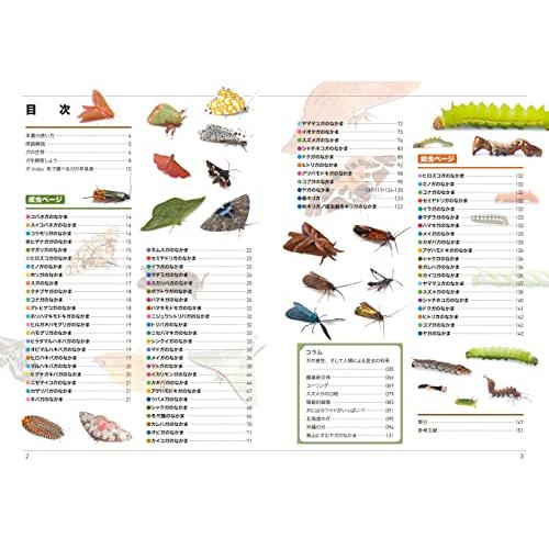 くらべてわかる蛾 1704種 (くらべてわかる図鑑)