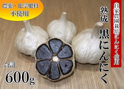 黒にんにく(200g×3袋)《国産・自家農園栽培・農薬不使用・化学肥料不使用》 [甲斐自然派農園 宮崎県 日向市 452060130] 黒ニンニク にんにく ニンニク 自家製 熟成 日向市産