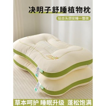 枕頭助睡眠決明子枕芯家用一對護頸椎單個學生宿舍專用枕深度抗菌