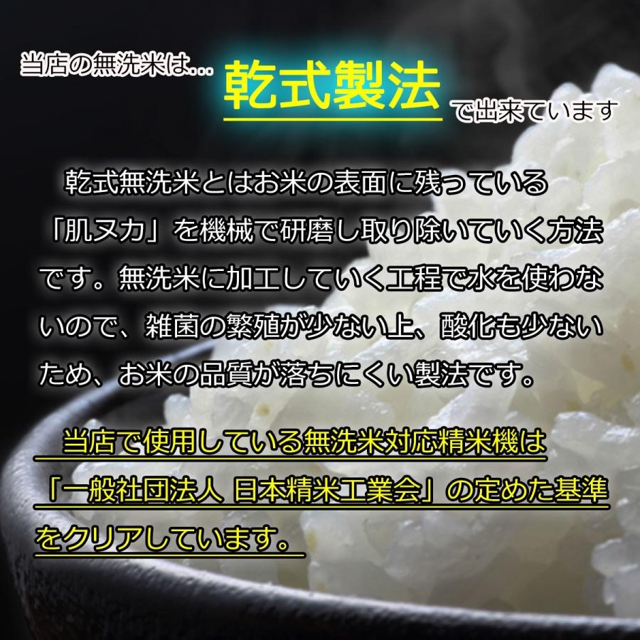 米 ひとめぼれ 無洗米 白米 5kg 送料無料 安い 山形県産 令和5年産 美味しいお米 いいあん米 山形 庄内 農家直送