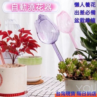 台南現貨🚩園藝植作用具 自動澆水器 懶人澆花器 懶人滴水器 自動澆水滴水 出差 滴灌滲水 鬱金香滴水器 綠植盆栽自動澆水