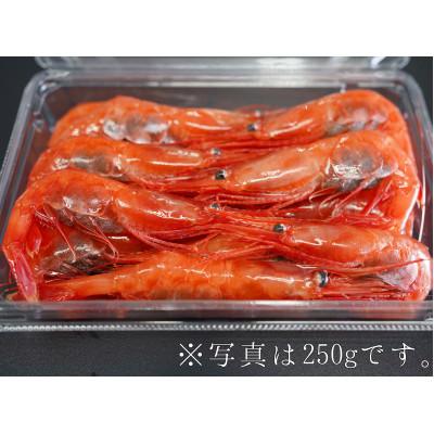 ふるさと納税 せたな町 お刺身甘エビLサイズ　1kg