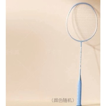 🏸球拍 成人球拍 兒童球拍 羽毛球拍 羽球拍 訓練球拍