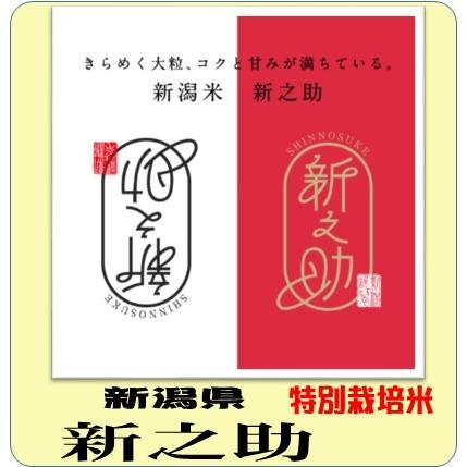 新潟県産　新之助 特別栽培米　4kg (2kg×2袋)　令和5年産　白米　送料無料（本州のみ）