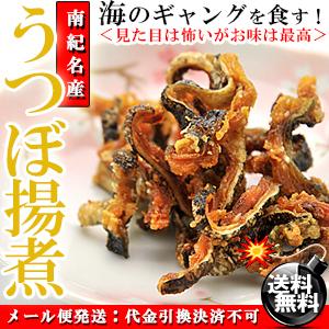 国産 海鮮 おつまみ 珍味 うつぼ揚煮 佃煮 45g×10個 無添加 唐揚げ ウツボ うつぼ うつぼ揚げ煮 酒のつまみ 酒の肴 干物 佃煮 ウツボの干物 敬老の日