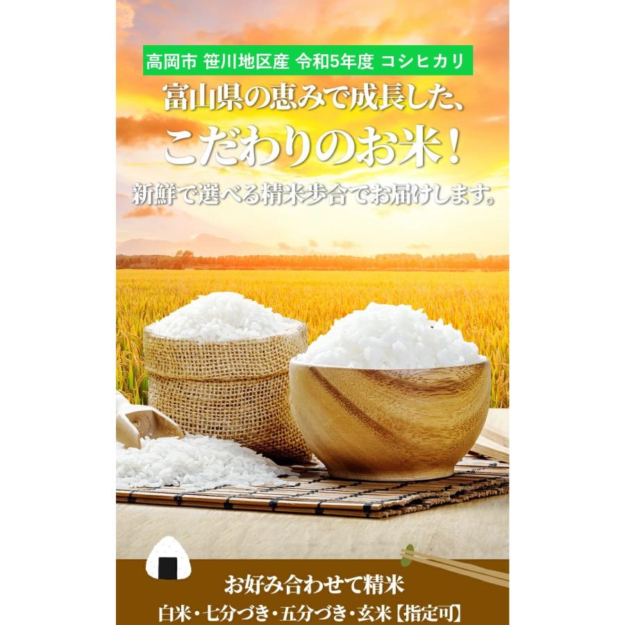 12 7エントリーで 4％    富山県産 コシヒカリ 玄米 10kg 米 コメ こめ お米 おこめ