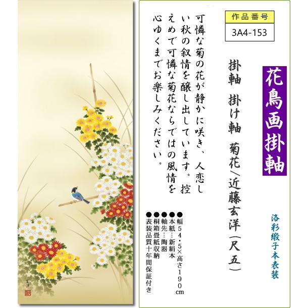 掛軸 掛け軸 菊花 近藤玄洋(尺五)表装 床の間 おしゃれ モダン きくか