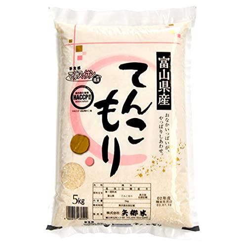 富山県産 てんこもり（令和4年） ５kg