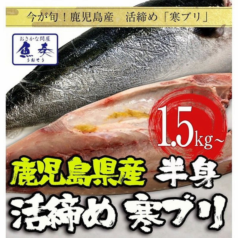 寒ブリ 半身 おろし済み 約1 5kg 九州産 お刺身用 冷凍 チルドぶり 鰤 ぶりしゃぶ 照焼き 忘年会 お歳暮 業務用 食品 おかず お弁当 フィーレ 通販 Lineポイント最大0 5 Get Lineショッピング