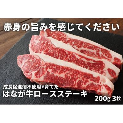 ふるさと納税 西予市 熟成肉 はなが牛ロースステーキ