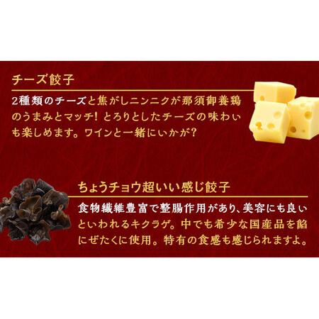 ふるさと納税 宇都宮餃子　ニンニクマシマシスタミナ餃子100個　保存料不使用 栃木県宇都宮市