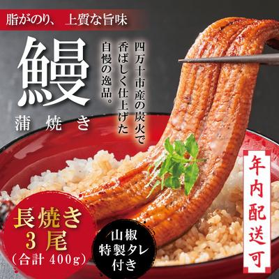 ふるさと納税 四万十市 うなぎ蒲焼　長焼3尾 CD