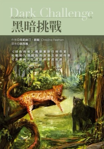 黑暗挑戰﹝限﹞[二手書_良好]