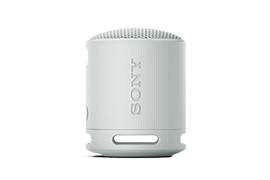 SRS-XB100