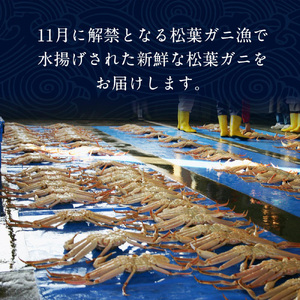 タグ付き松葉ガニ　特大1枚（900g～1kg前後） ※2023年11月～2024年3月発送予定《かに カニ 蟹》