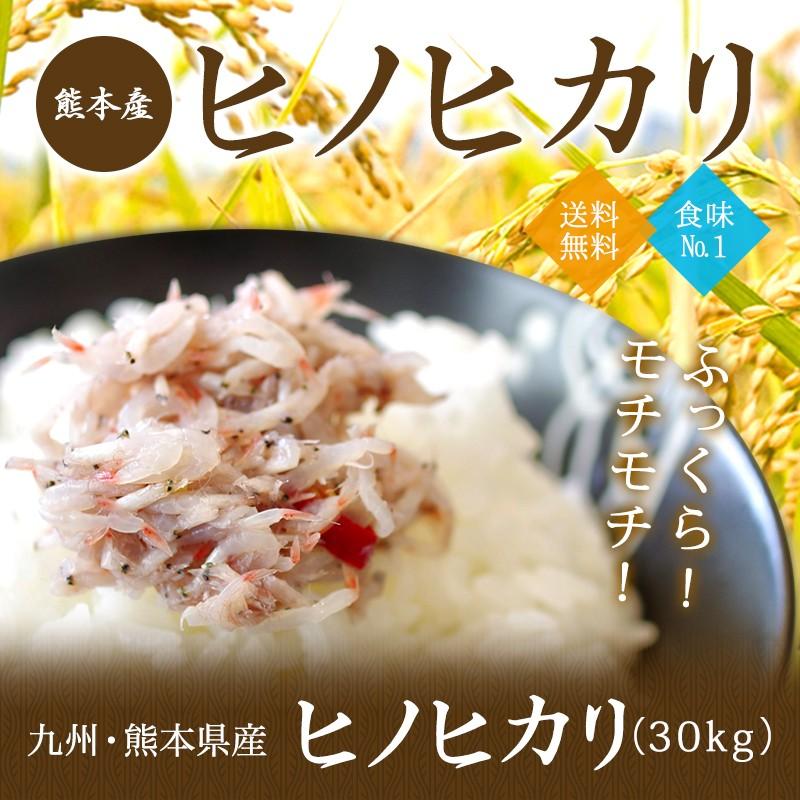 ヒノヒカリ 30kg 九州 熊本産 米 減農薬 送料無料
