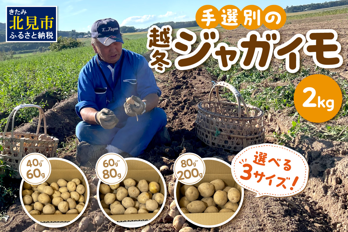 宇野さんの手拾い、手選別の越冬ジャガイモ 2kg 　( 芋 野菜 選べる
