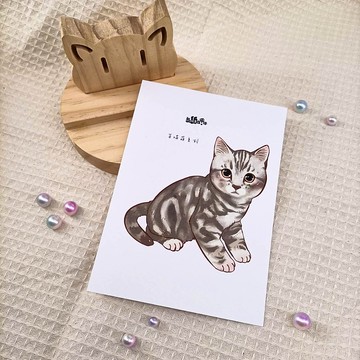 ME183-54_我紙在乎你百喵萌明信片_postcard